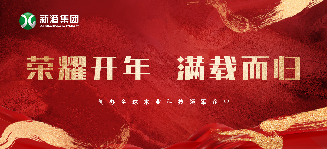 2025喜訊頻傳！新港集團(tuán)榮膺多項(xiàng)大獎(jiǎng)，再獲行業(yè)認(rèn)可！